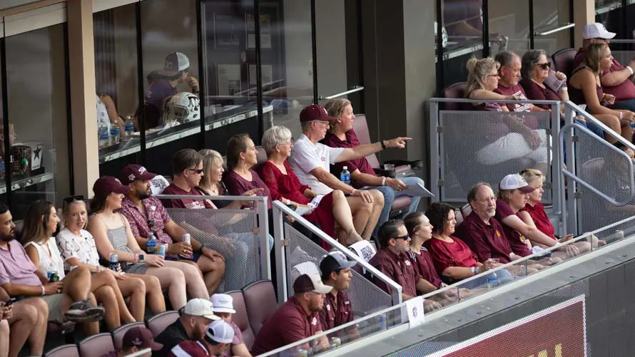 Fans in their suites