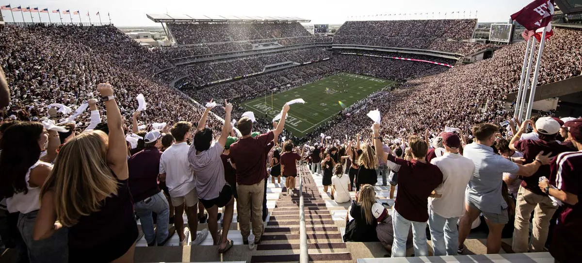 fans in the stadium